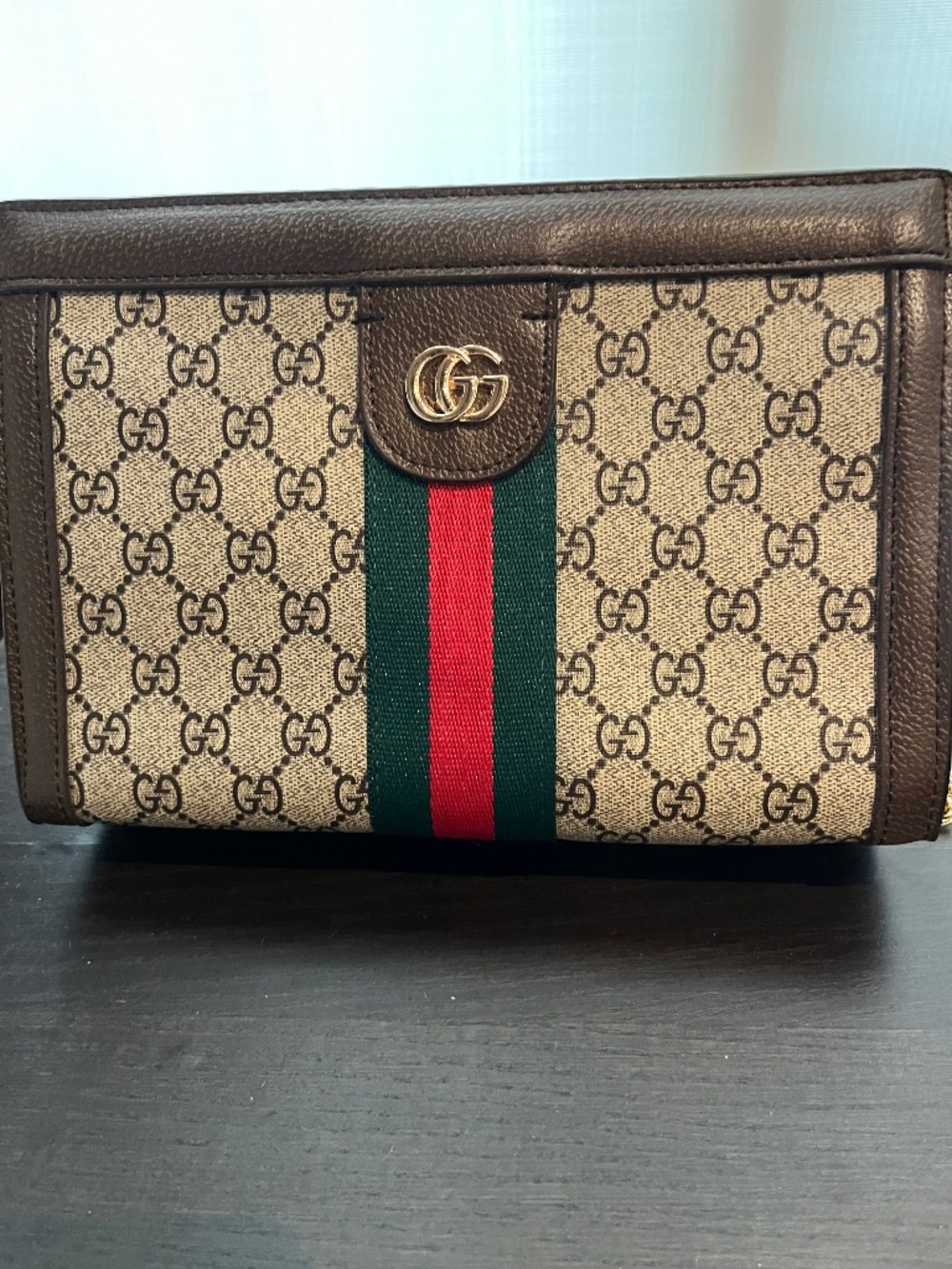 GUCCI BAG Canvas with Leather